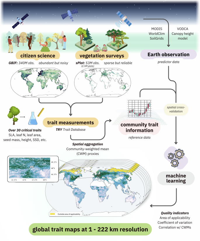 Fig. 2: Workflow for modeling plant functional traits using citizen science observations, vegetation surveys, trait measurement data, and Earth observation.