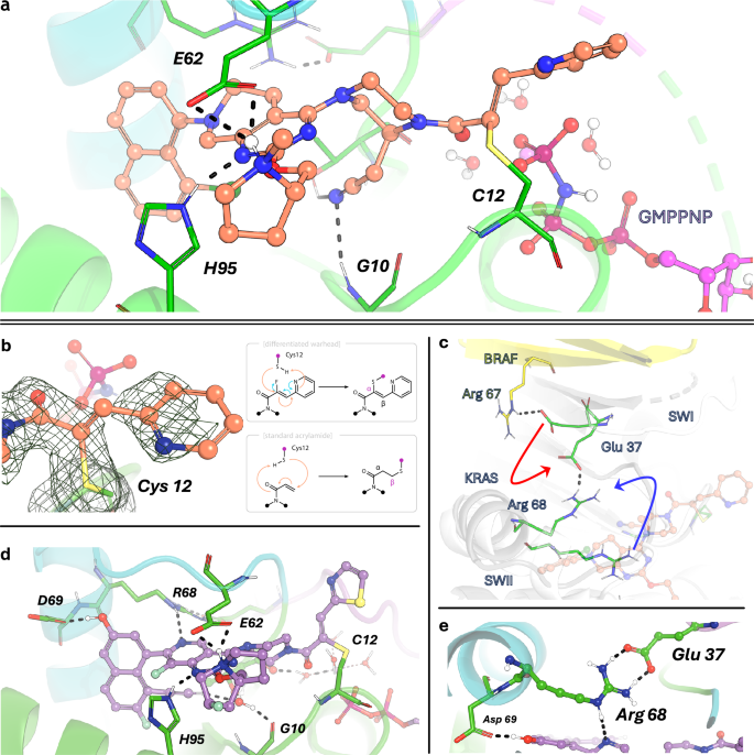 Fig. 2: Structural analysis of dual inhibitors bound to KRAS G12C.
