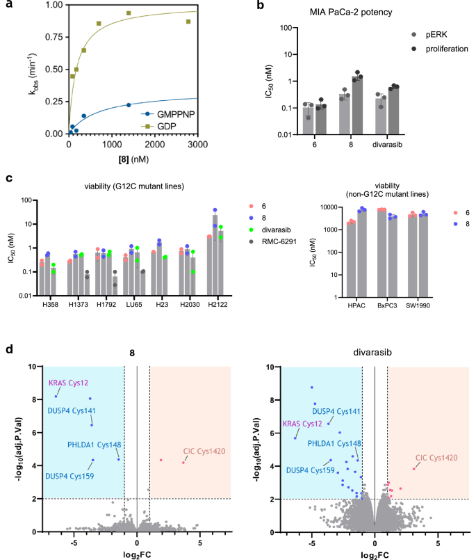 Fig. 3: In vitro characterization of dual inhibitors.