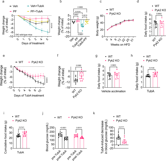 Fig. 2: PYK2 is required for the anti-obesity effect of TubA.