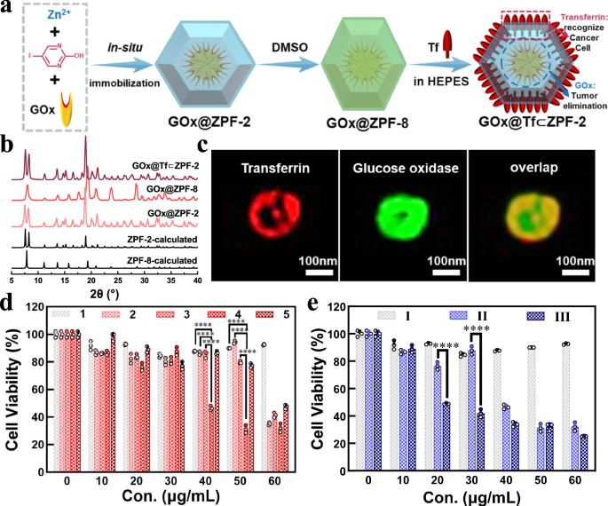Fig. 4: Multicomponent synergistic anti-tumor activity of protein⊂ZPF-2 with different distribution of proteins.