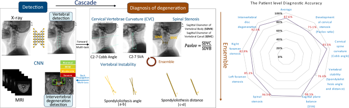 Fig. 7: The framework of patient level diagnostic analysis and the patient level diagnostic results.