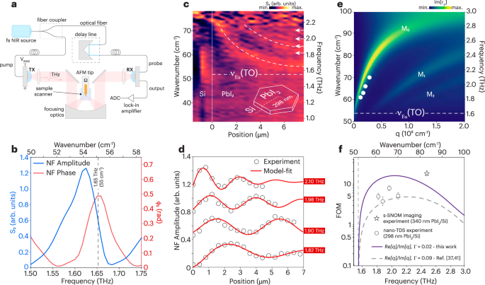 Fig. 3: THz nano-TDS analysis.