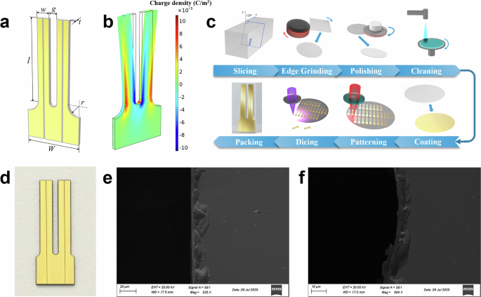 Fig. 1: Lithium Niobate Multi-Functional Platform.