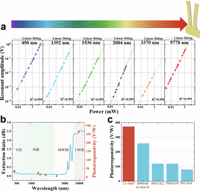 Fig. 3: LN-MFP for photodetection.