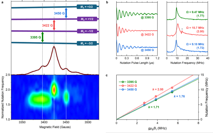 Fig. 6: Pulsed EPR experiment results of 1.