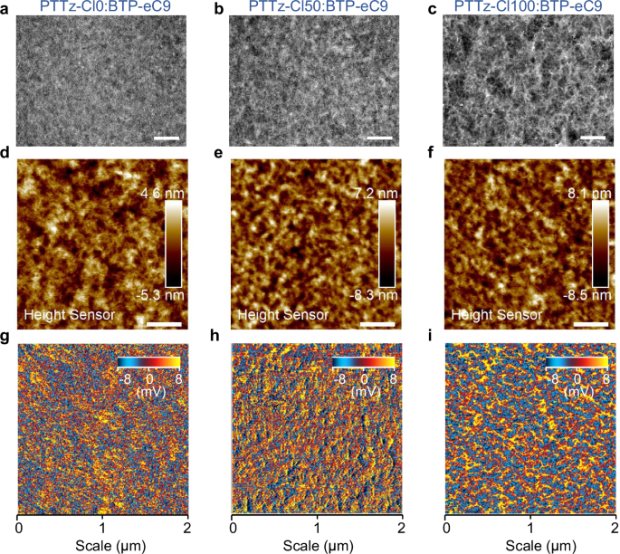 Fig. 3: Morphology of the blend films.