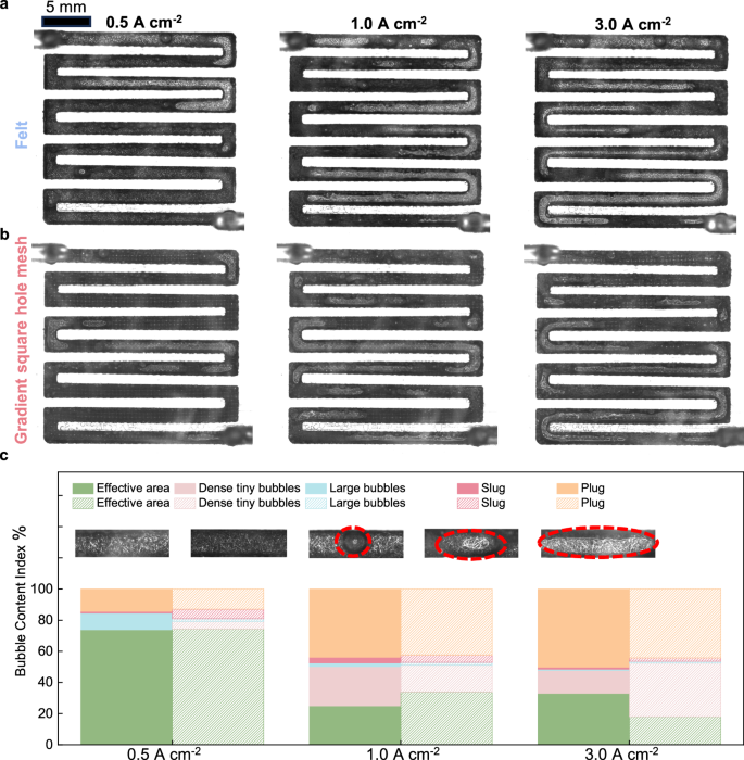 Fig. 7: Two-phase flow visualization and regime distribution in flow fields.