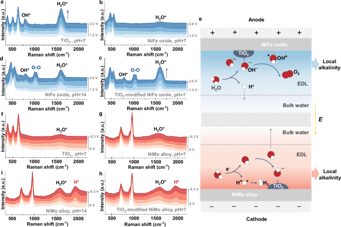 Fig. 3: Investigating mechanism of local alkalinity.