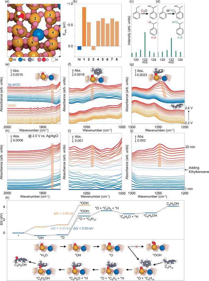 Fig. 5: The mechanism of regulated pathways for oxygen transfer from water to C(sp3)–H bonds via Ni-WOC.