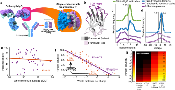 Fig. 1: Whole molecule net charge is a determinant of scFv intrabody solubility.