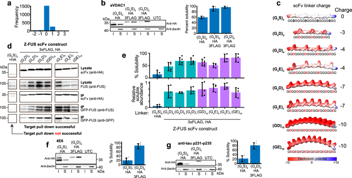 Fig. 2: Charged interdomain linkers improve scFv intrabody solubility.