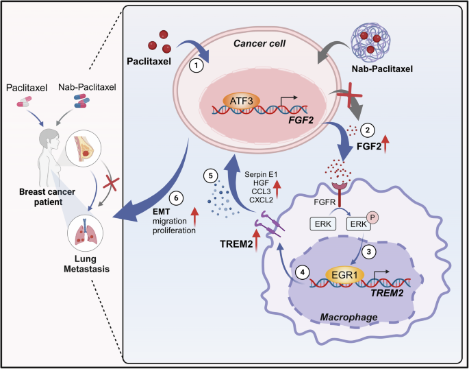 Fig. 8: Graphic summary of this research.