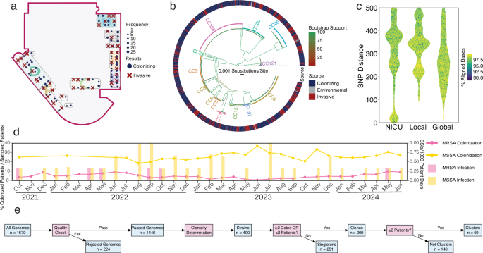 Fig. 1: Spatial distribution and genomic diversity of S. aureus isolates in the NICU setting.