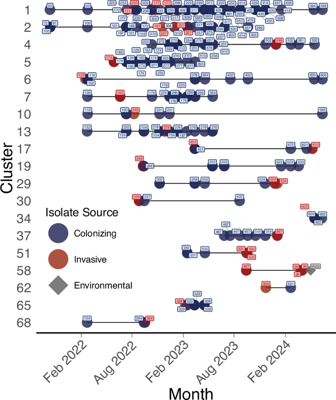 Fig. 5: Colonizing clusters transitioned to invasive clusters.
