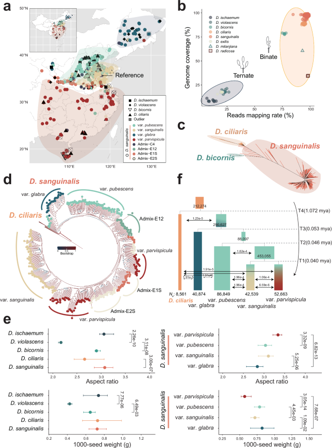Fig. 2: Population structure and demographic history of Digitaria species.