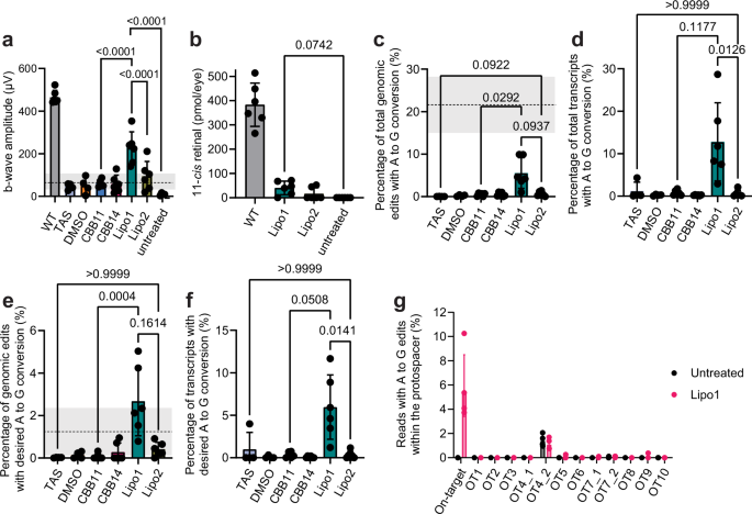 Fig. 6: ABE-RNP delivery mediated by CBB-containing liposomes in rd12 mice.