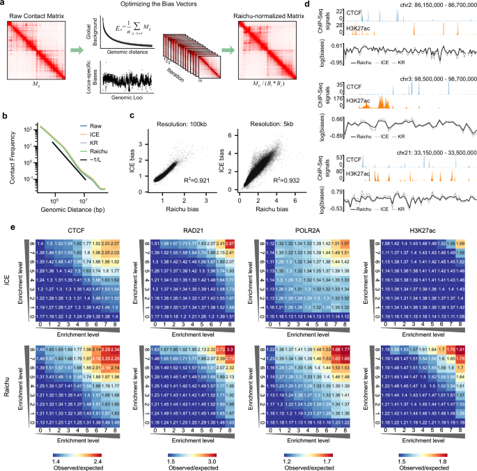 Fig. 1: A computational method for normalizing chromatin contact data.