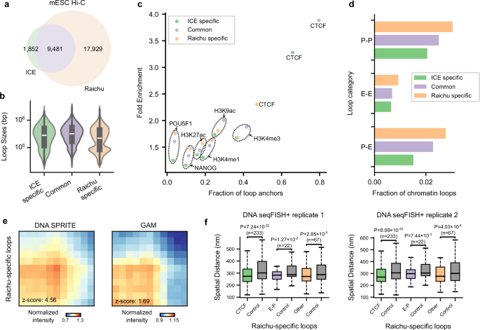 Fig. 3: Validation of Raichu-specific loops using DNA SPRITE, GAM, and DNA seqFISH+ in mouse embryonic stem cells (mESCs).