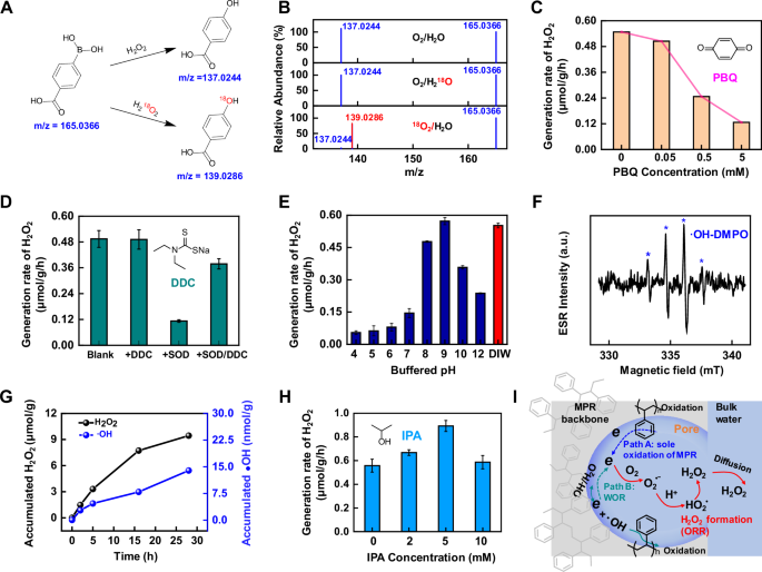 Fig. 4: Deciphering the mechanism of H2O2 generation in the MPR–water system.
