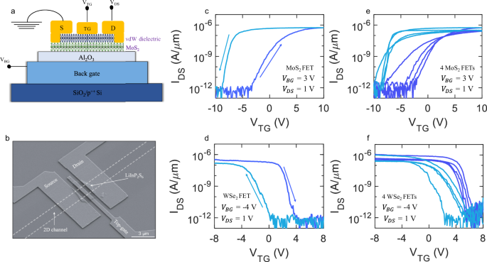 Fig. 1: LiInP2S6 as a top-gate dielectric for 2D field-effect transistors (FETs).