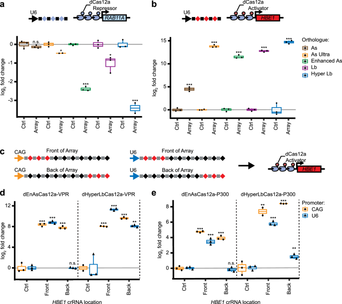 Fig. 1: Optimization of dCas12a for multiplexed epigenome editing.
