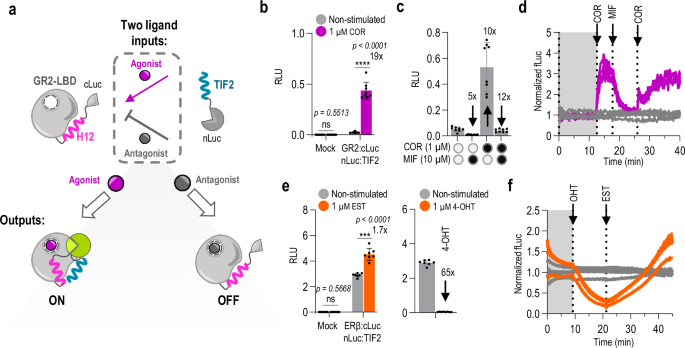 Fig. 2: Design and validation of ON/OFF signal-responsive LBD-CID systems.