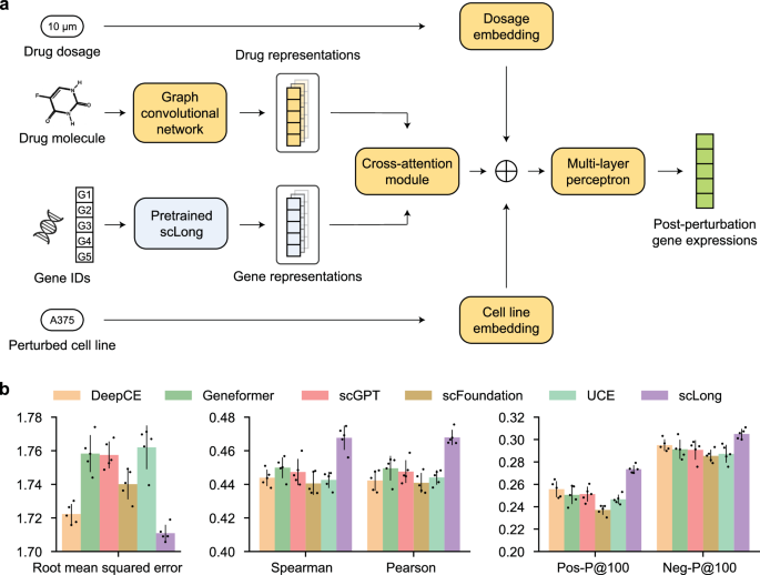 Fig. 3: scLong outperformed existing scRNA-seq foundation models and specialized methods in predicting transcriptional outcomes of chemical perturbations.