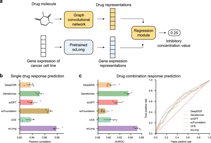 Fig. 4: scLong surpassed existing scRNA-seq foundation models and task-specific methods in predicting cancer cell responses to individual drugs and synergistic drug combinations.