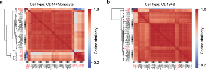 Fig. 8: scLong grouped marker genes of the same cell type.