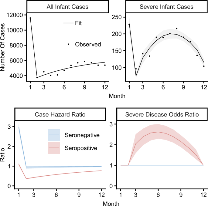 Fig. 4: Mechanistic model fit to case and severe case age distribution in Brazil and estimated infant dengue risk profiles.
