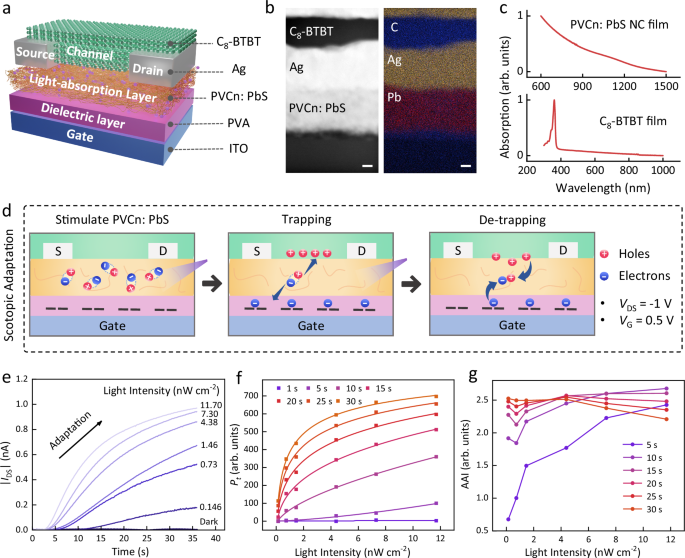 Fig. 2: ODAS structure characterization and light adaptation performance.