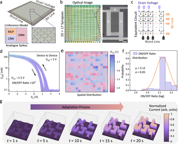 Fig. 3: Circuit architecture and performance characterization of ODAS array.