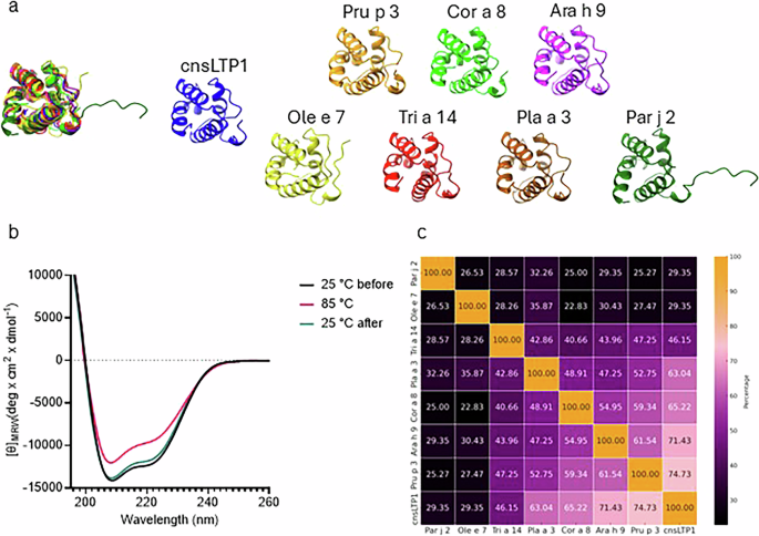 Fig. 1: Design and structural stability of the nsLTP1 consensus allergen.