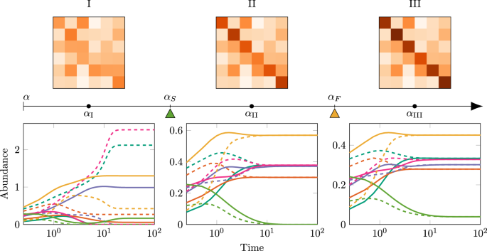 Fig. 1: Three dynamical scenarios arising in an example random competitive community with six species.