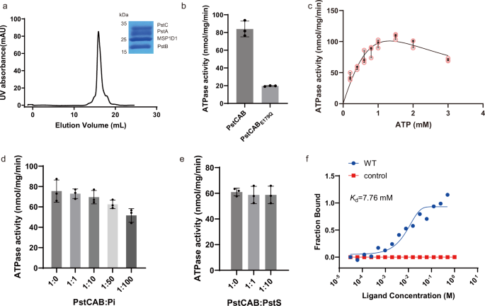 Fig. 1: Protein purification and functional characterization.