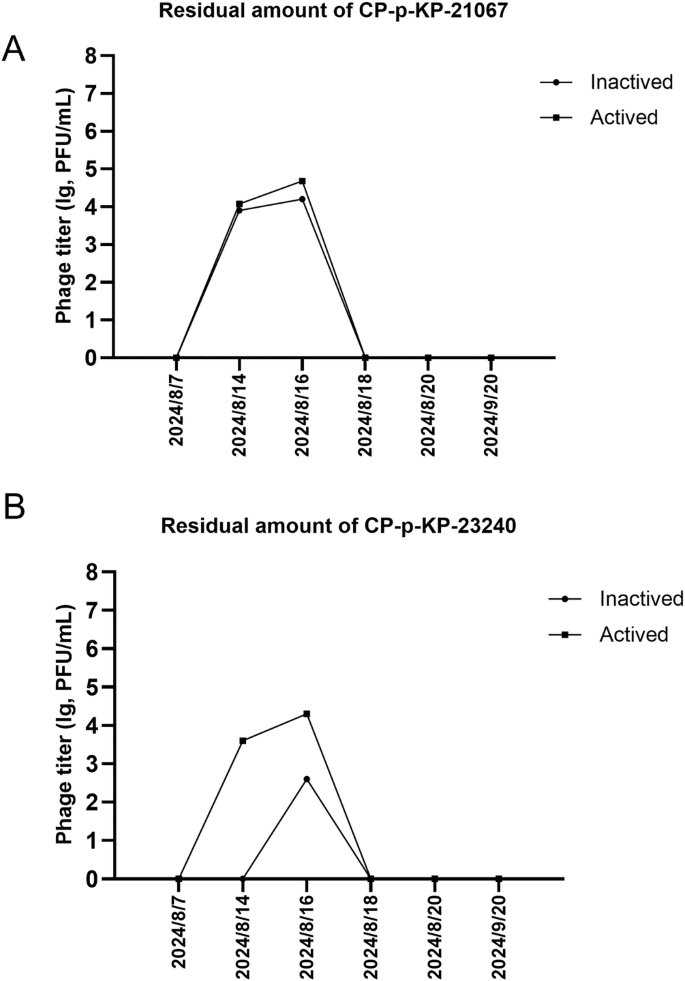 Fig. 6: Detection of phage residual titers in dialysate effluent before and after phage treatment.