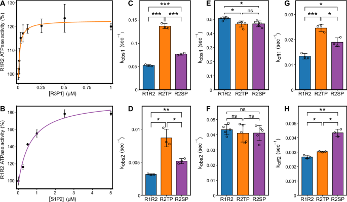 Fig. 3: Dependence of RUVBL1/RUVBL2 ATPase activity on RPAP3:PIH1D1 or SPAG1:PIH1D2 concentration.