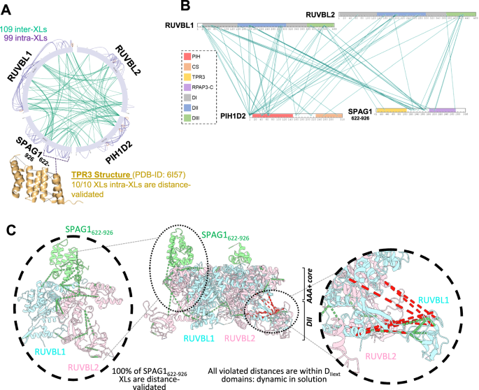 Fig. 7: Description of R2S622-926P XL-MS.