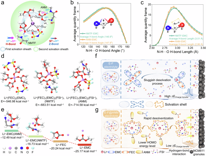 Fig. 2: Solvation structure and simulations of desolvation kinetics in an adaptive hydrogen bonded domains electrolyte.