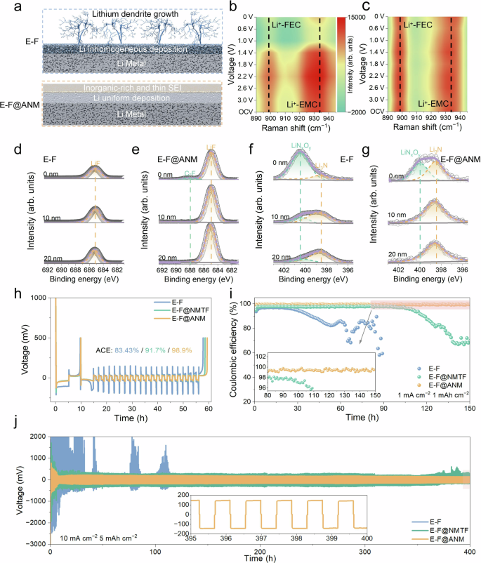 Fig. 4: Compatibility of different electrolytes with lithium metal.