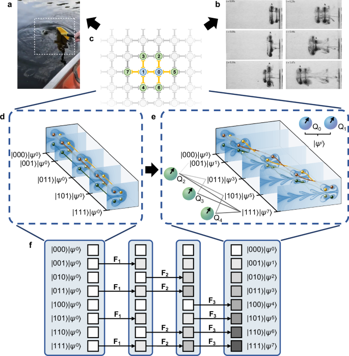 Fig. 1: Overview for implementing vortex interactions using a superconducting quantum chip.