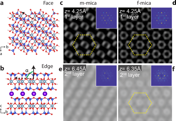 Fig. 2: Structure of mica and overlying hydration layers.