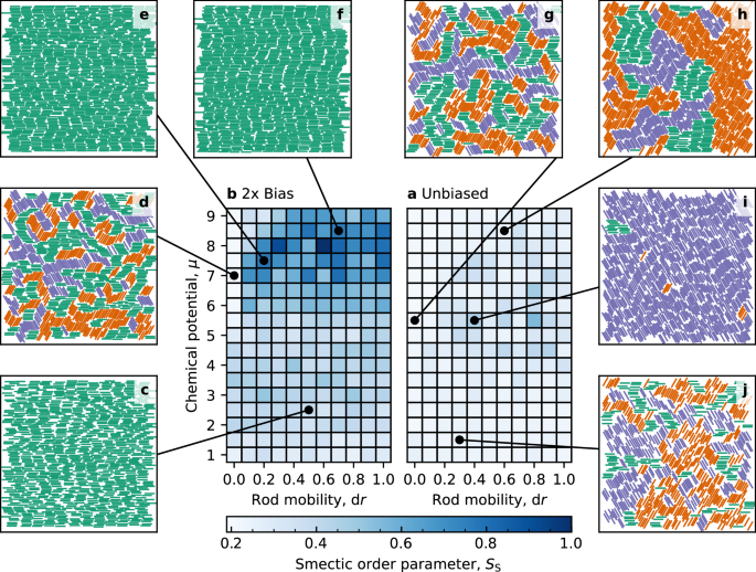 Fig. 5: Grand-canonical Monte Carlo simulations of hard rods on surface with and without bias.