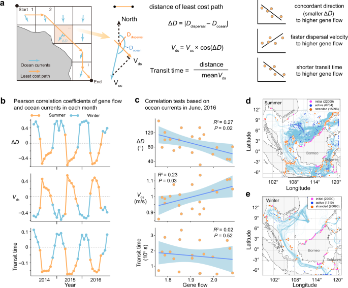 Fig. 2: Quantified model and particle trajectory simulations suggest summer ocean currents drive asymmetric northward gene flow.