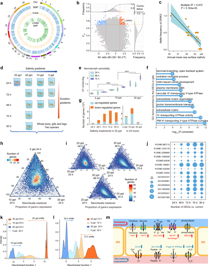 Fig. 4: Genetic changes in T.