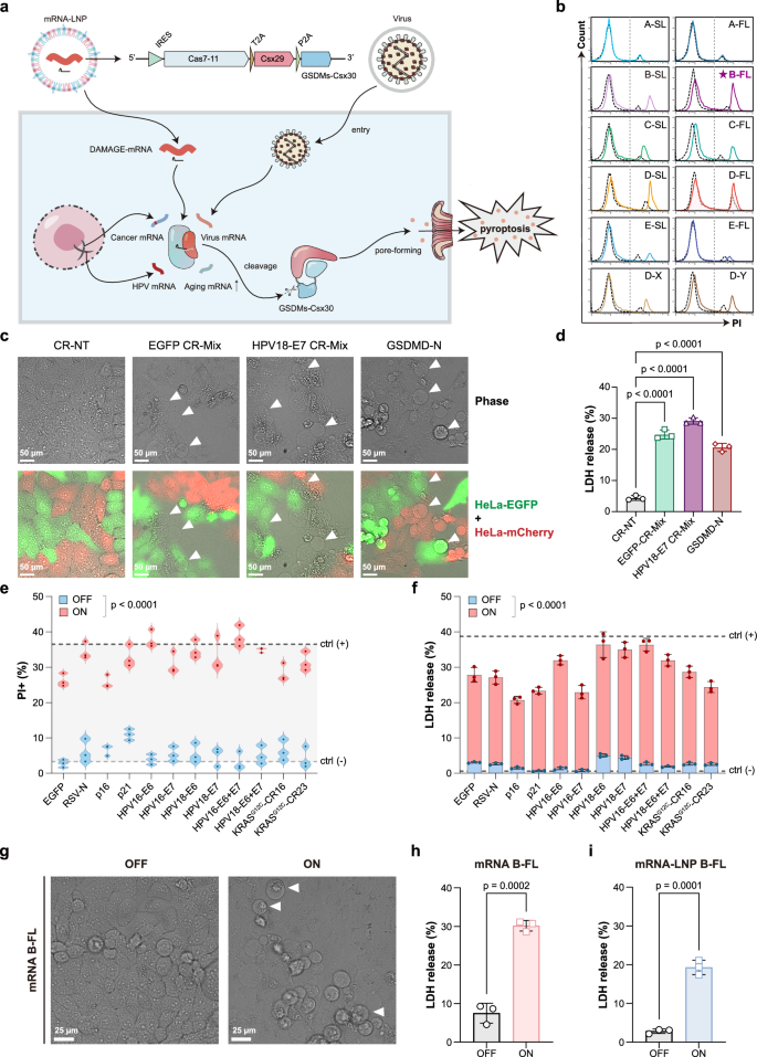 Fig. 6: The potential of DAMAGE in mRNA-LNP therapeutic applications.