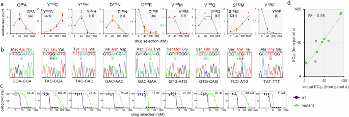 Fig. 3: Drug resistance assays reveal the predictive power of MOT-library profiling.