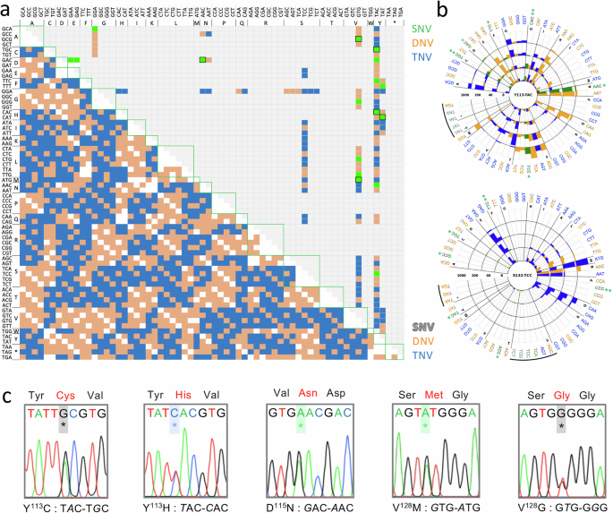 Fig. 5: Accurate prediction of drug resistance mutations in SNP-accessible space.
