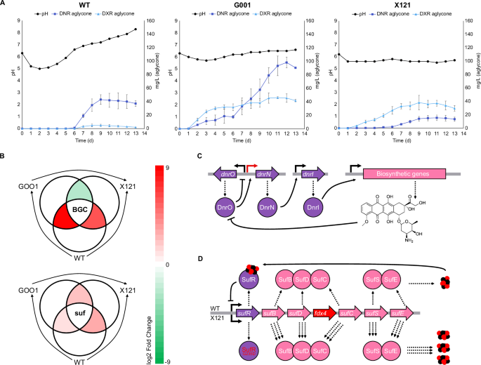 Fig. 2: Comparative metabolome, genome, and transcriptome analysis.